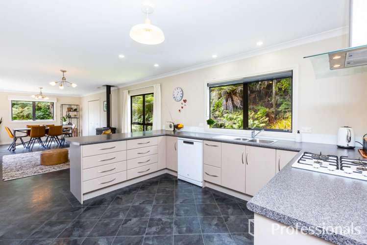 51 Kamahi Street Stokes Valley_6