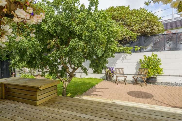 6 Patchett Place Cashmere_9