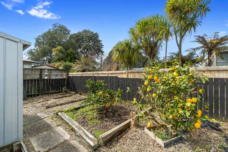 18 Walsh Street Forest Lake_7