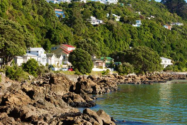 Lord of the Rings effect: House prices in Wellington’s best beach suburbs