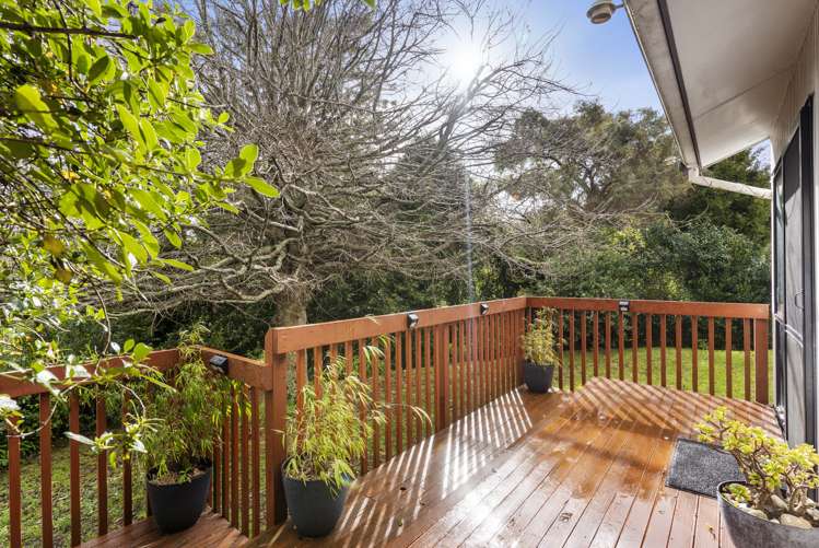 19 Palmetto Place Goodwood Heights_6