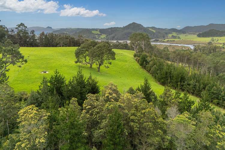 Lot 2/471 Purangi Road Cooks Beach_13