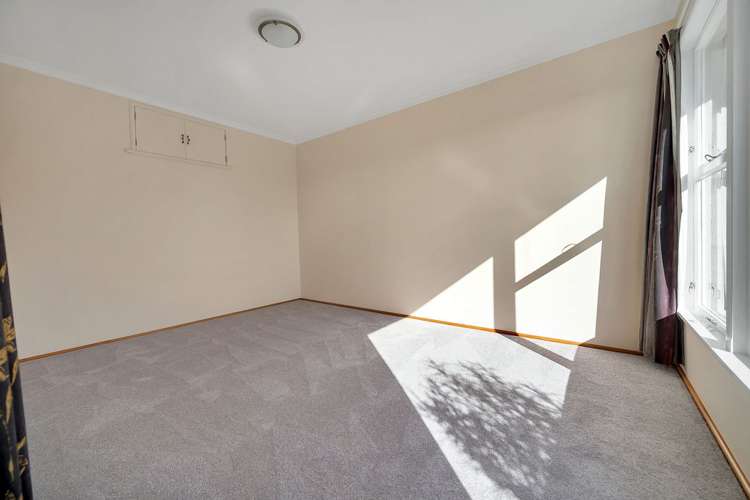 1/77a Halifax Street The Wood_7