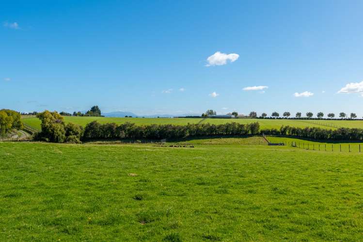 39 Kellands Hill Road Washdyke Flat_48