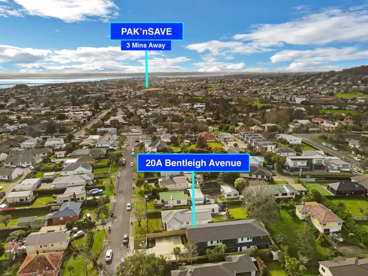 20A Bentleigh Ave New Windsor_26