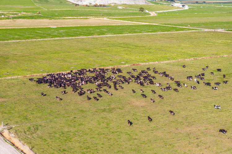 107 Molloy Road Ruawai_10