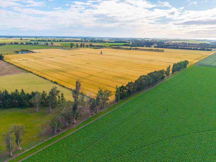 215 Falvey Road Levels_6