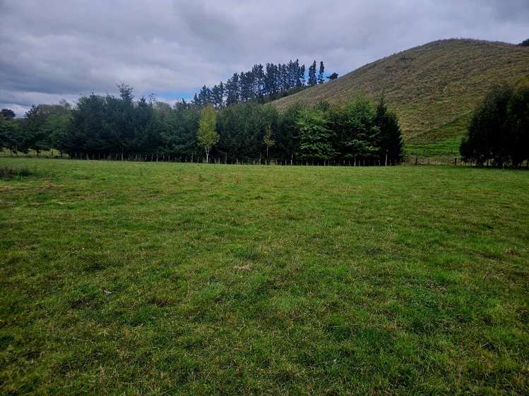 946F Finnis Road Pohangina_14
