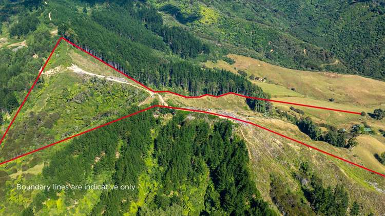 175 Dehra Doon Road, Riwaka Motueka_20