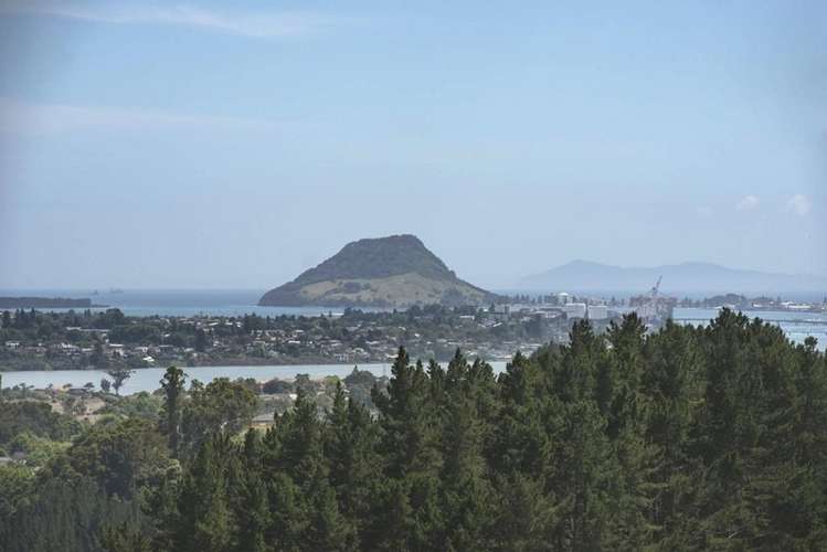 221 Pukemapu Road Oropi_17