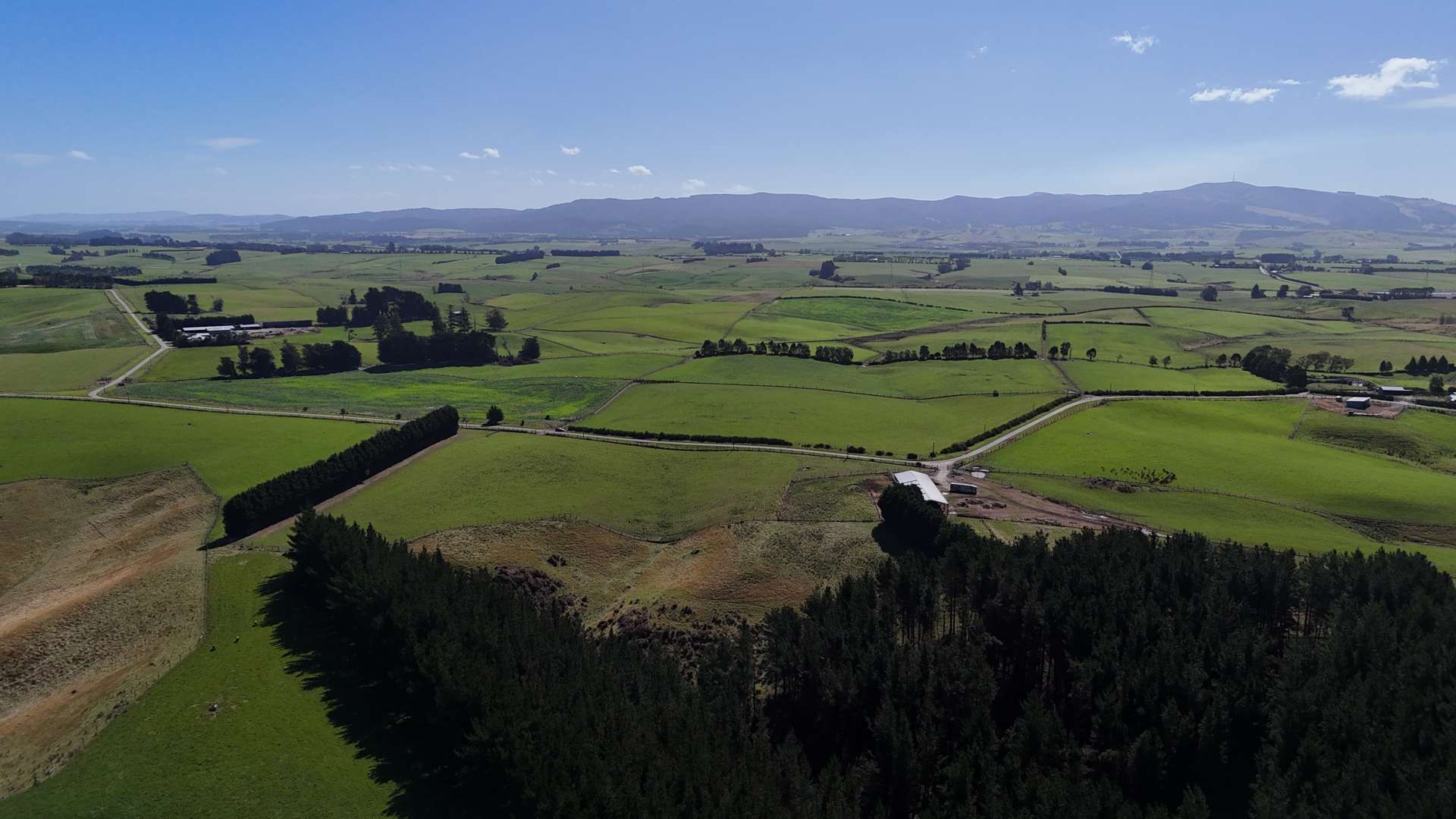 Glendhu Road Mataura_0