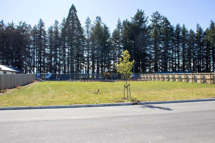 34 Arrowsmith Drive Methven_6