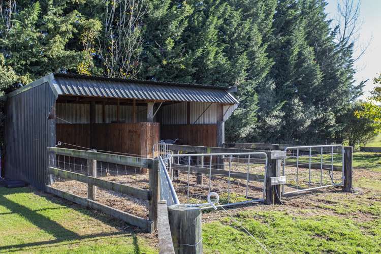 291 Foothills Road Okuku_20