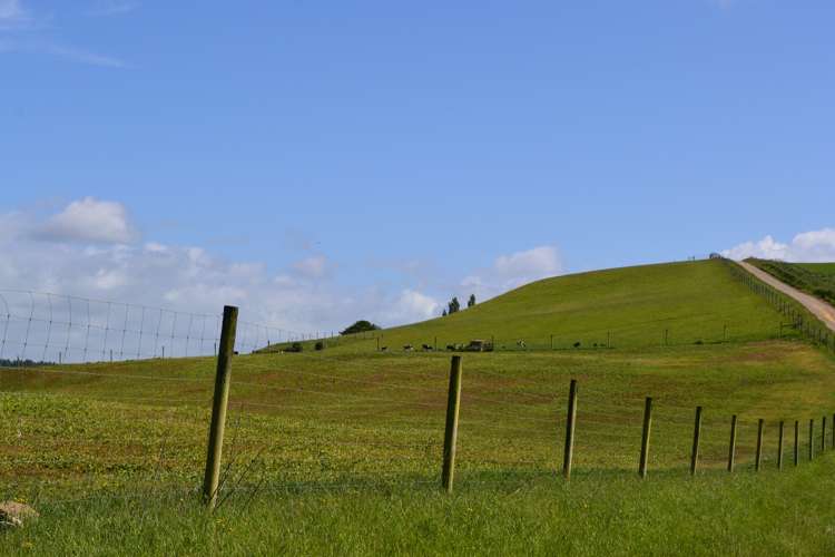 600 Island Stream Road Five Forks and Surrounds_10