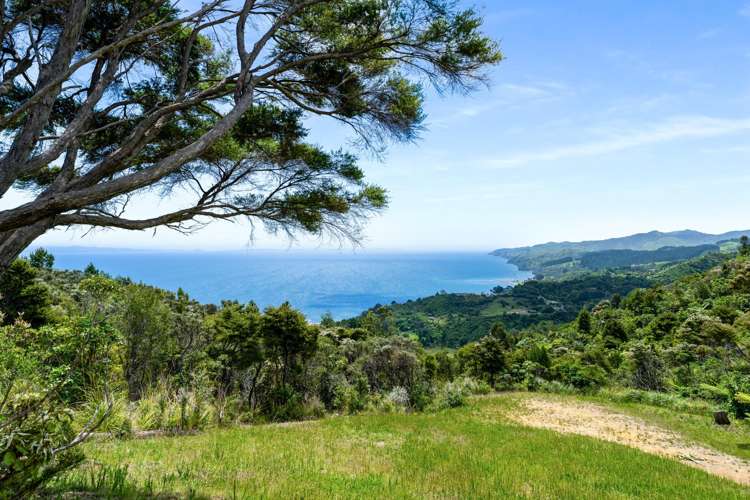 98 Tapu Rise Heights Thames_12