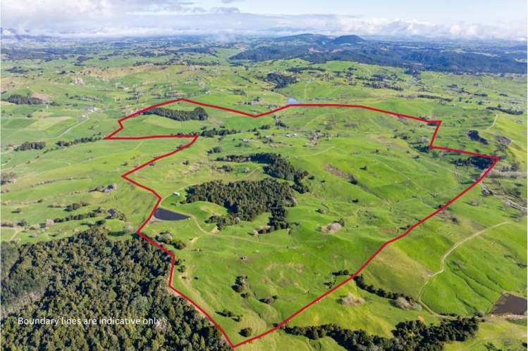 248 Ormandy Road Maungakaramea_1