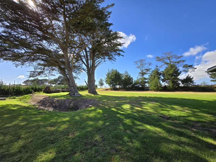 259 Redhill Cemetery Road Te Kopuru_19
