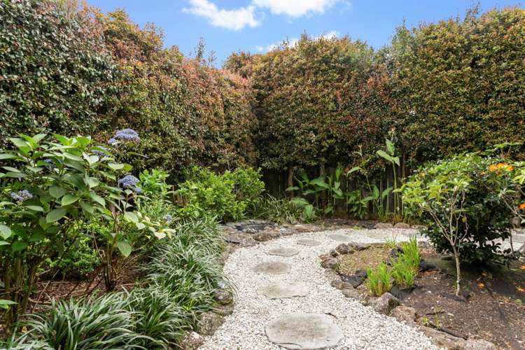 62a Pah Road Royal Oak_19