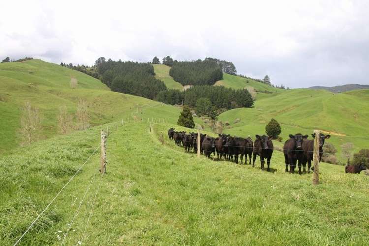 546 Maratoto Road Hikutaia_0