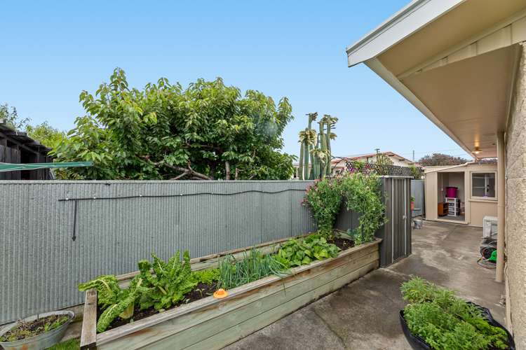 3/179 Howick Road Witherlea_13