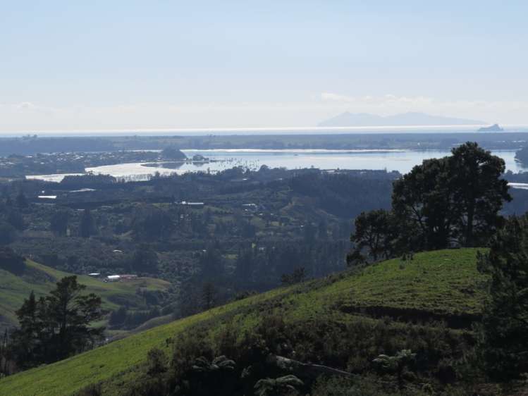 665 Minden Road Wairoa_10