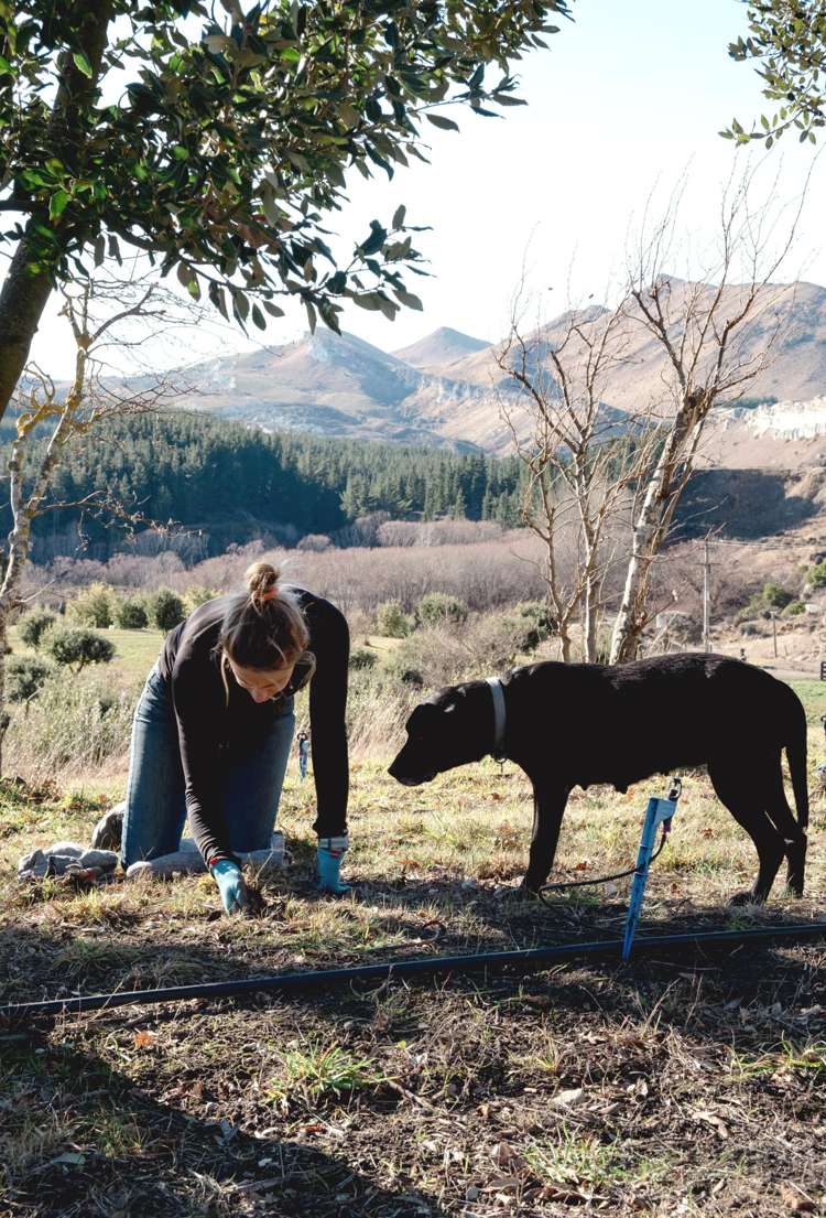 101 Laidmore Road Broomfield_23