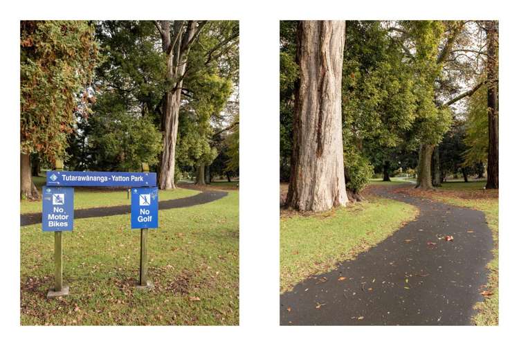 28 Harrier Street Parkvale_23