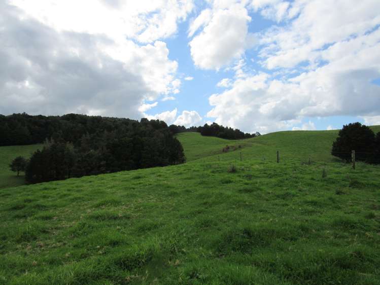 Bisset Road Kaikohe_16