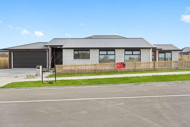 11 Barberry Drive Morrinsville_0