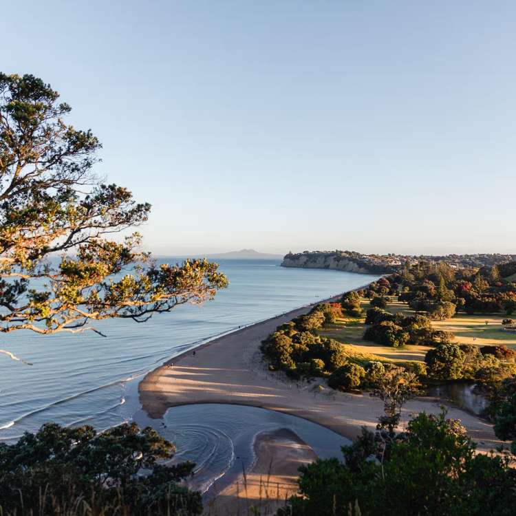 79 Bearing Parade Long Bay_20