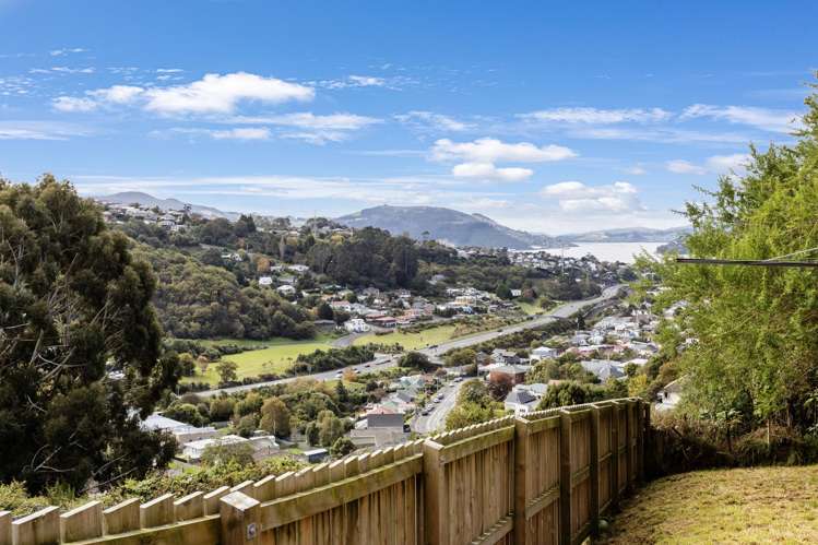 46 Waimea Avenue Calton Hill_20