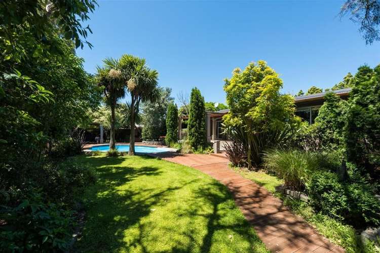 19a Carlyle Crescent Witherlea_11