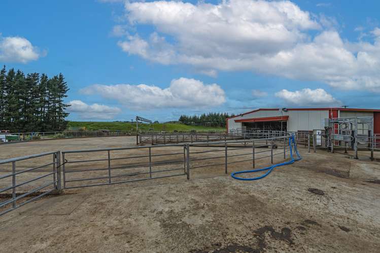 672 Ruawhata Road Pahiatua_12