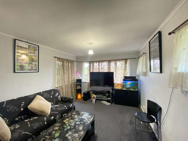 Beaumonts Way Manurewa_1