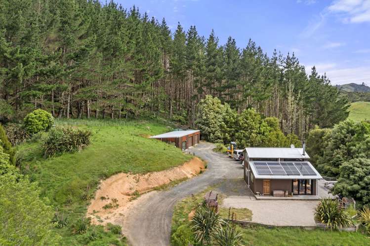 843 Old Mountain Road Raglan_22