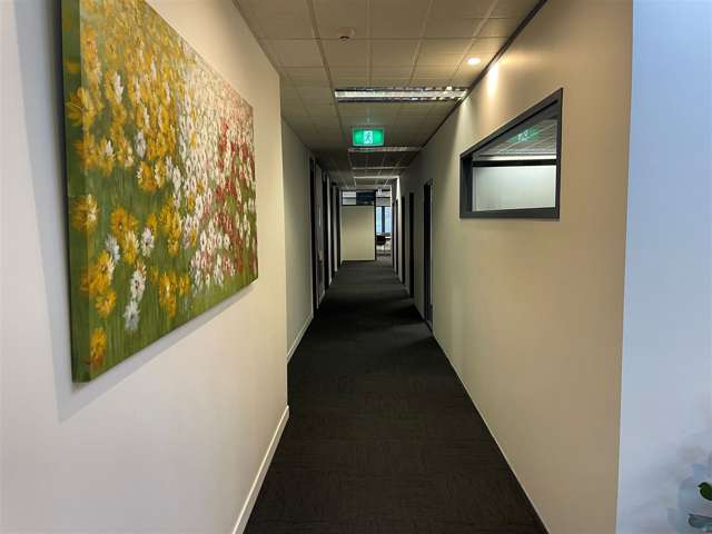 25 Bower Street Napier South_4