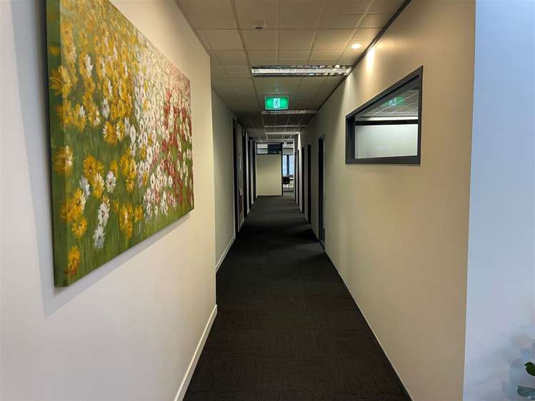 1st Floor/25 Bower Street Napier South_4