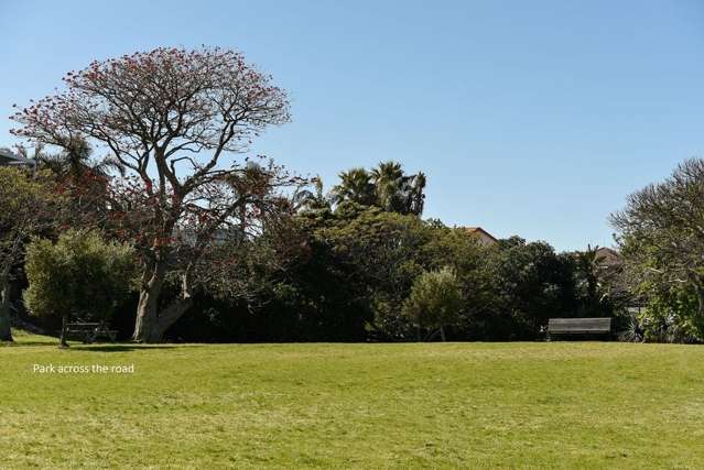 50 May Street Mount Maunganui_2