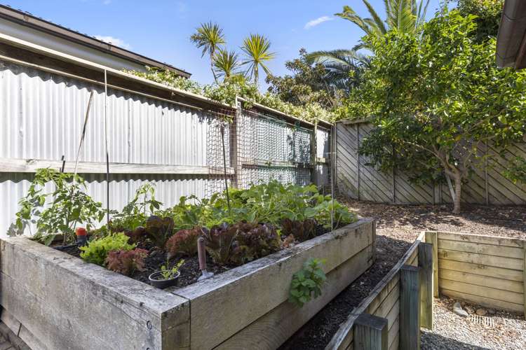 7a Waterview Road Stanley Point_14