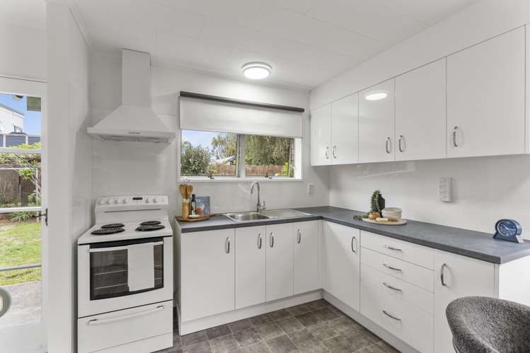 2b David Street Waikanae_8