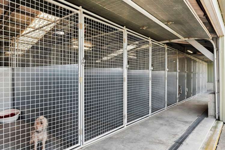 519 Old Renwick Road Springlands_11
