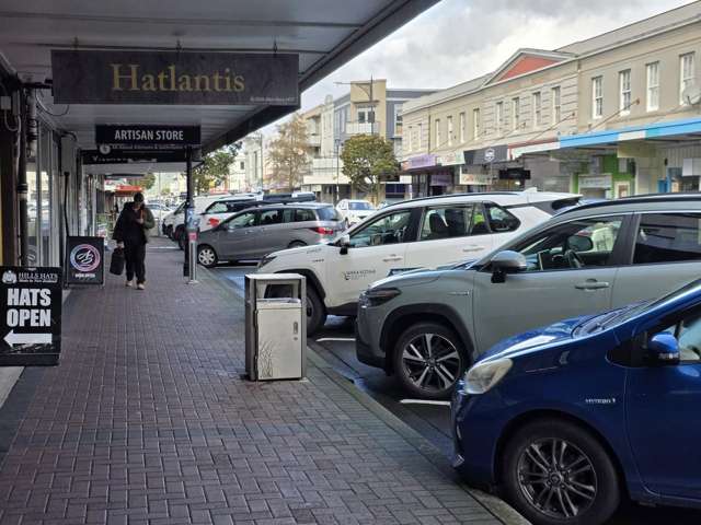 Ground/121 Jackson Street Petone_2