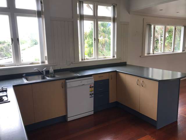 41 Kauika Road West Avenues_2