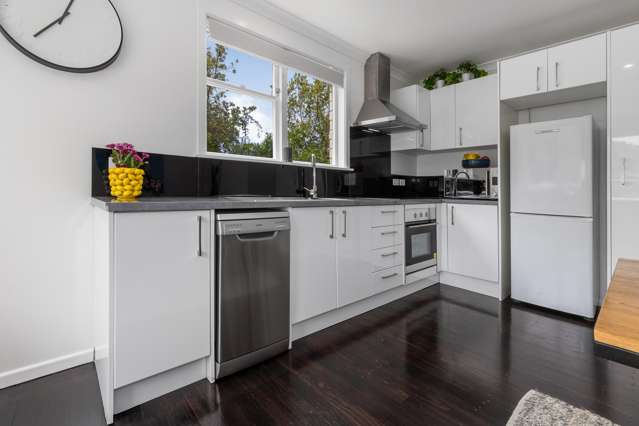 20 Mahinawa Street Takapuwahia_3