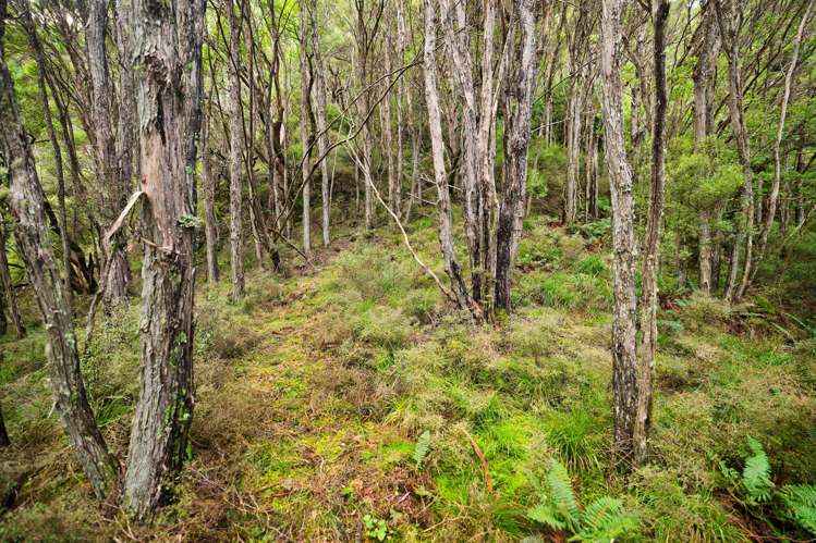 Lot 3/DP403510 Puhi Puhi Valley Road Kaikoura_28