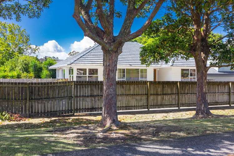 46 Trinidad Road Sunnynook_14