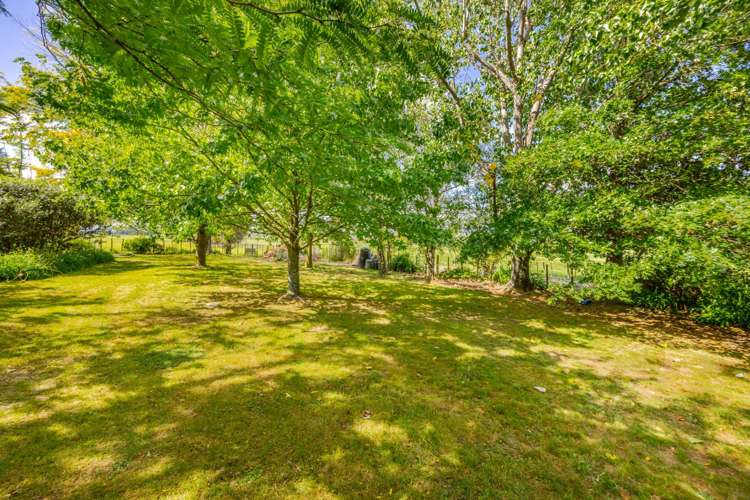 37 Ellison Street Otane_19