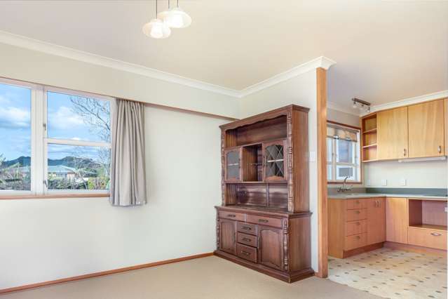 232 Tony Avenue Thames_4