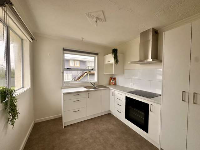 75 Weka Street Waikiwi_4