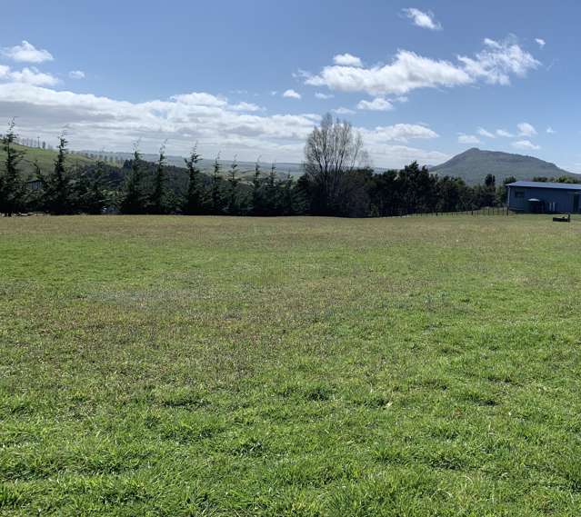 1 Rangikatea Road Omori_2